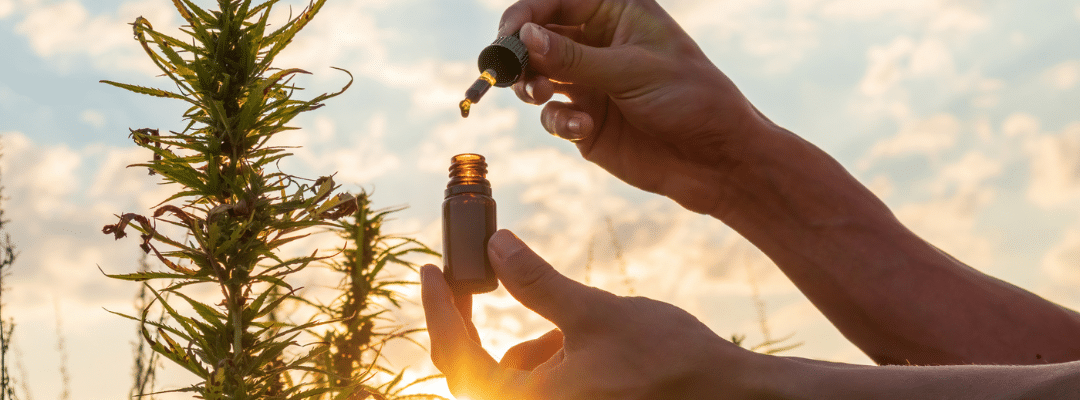 CBD CONSULTATIONS IN NORTHERN NEW JERSEY